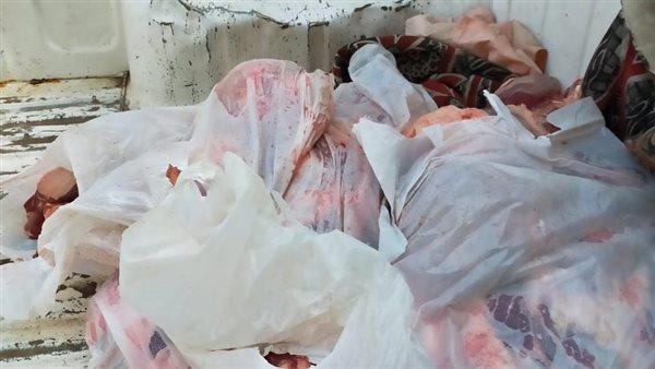 الجيزة تضبط 5 طن دواجن وأسماك ومصنعات لحوم فاسدة ببولاق والعجوزة