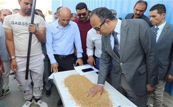   نائب محافظ المنيا: توريد 327 ألف طن من محصول القمح للصوامع