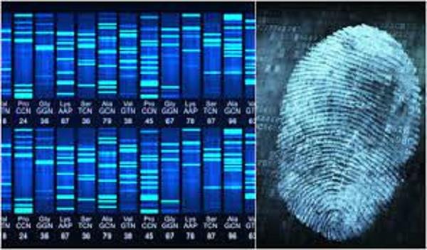 6 حالات يجوز فيها شرعا استخدام بصمة DNA لإثبات النسب.. تعرف عليهم