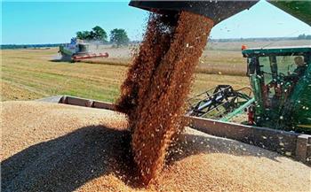   وزارة الزراعة الأوكرانية: صدرنا أكثر من 44 مليون طن من الحبوب من يوليو 2022 وحتى الآن