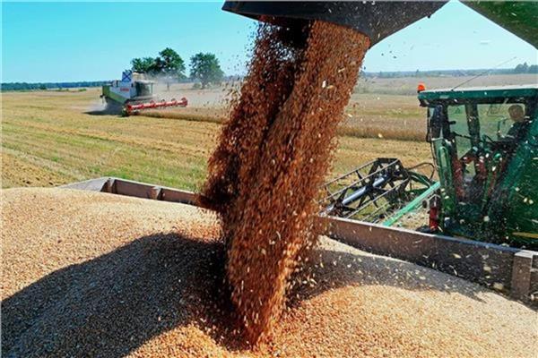 وزارة الزراعة الأوكرانية: صدرنا أكثر من 44 مليون طن من الحبوب من يوليو 2022 وحتى الآن