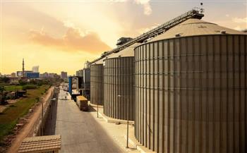   «معلومات الوزراء»: مصر استبقت الأزمات العالمية بخطة ناجحة لرفع القدرات الإنتاجية للقمح