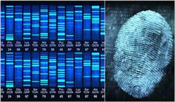   6 حالات يجوز فيها شرعا استخدام بصمة DNA لإثبات النسب.. تعرف عليهم