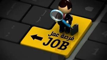 الشروط والمميزات .. تدريب مجاني على وظائف رقمية في 6 محافظات بالصعيد