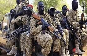 القوات المسلحة السودانية تعلن مصادرة شحنة أسلحة مهربة