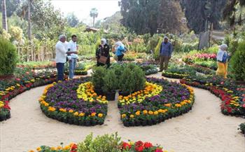  "الزراعة": معرض زهور الربيع هذا العام يتزامن مع المبادرة الرئاسية "100 مليون شجرة"
