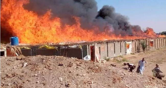 حريق يلتهم مزرعة دواجن في قنا 