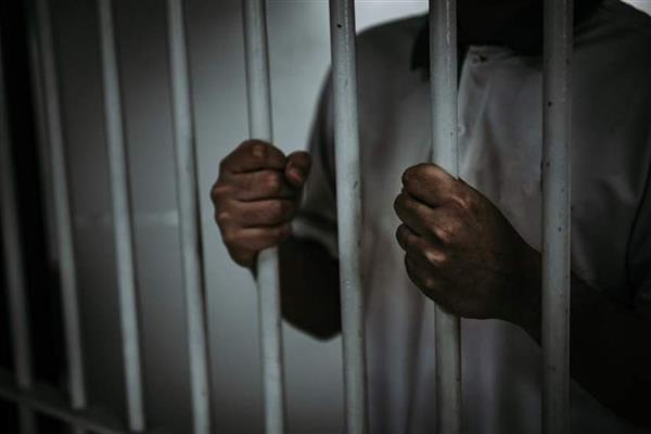 السجن المؤبد لسائق عربة حنطور اعتدى على طفلة فى الإسكندرية