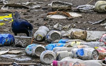   مفاوضات مهمة في باريس حول معاهدة دولية لمكافحة التلوث البلاستيكي