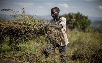   ناميبيا والفاو يسعيان لتطبيق تقنيات «الاستشعار عن بعد» لحماية الحاصلات الزراعية