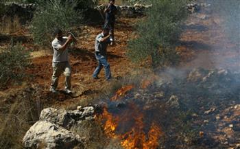   مستوطنون إسرائيليون يحرقون أراضٍٍ زراعية في رام الله