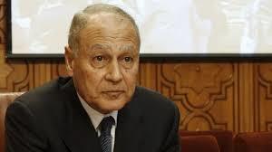 أمين الجامعة العربية: الاتحاد الإفريقي لن يحل أزمة السد الإثيوبي