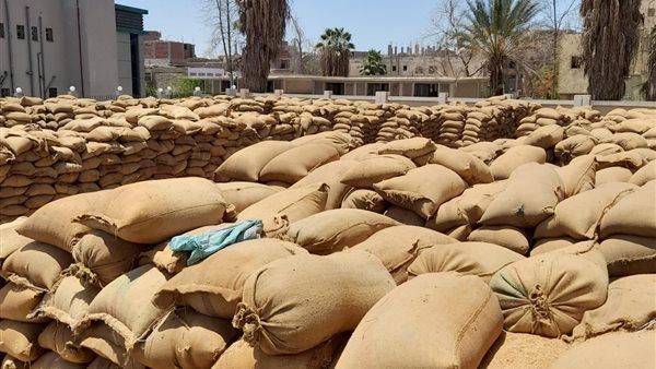 «تموين كفر الشيخ»: توريد 43 ألفا و 945 طنا من الأقماح لمواقع التخزين حتى الآن