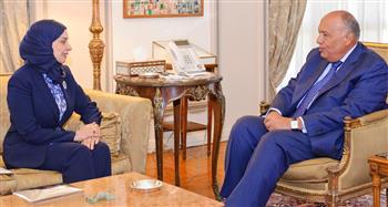   سفير مملكة البحرين لدى مصر تقدم نسخة من أوراق اعتمادها لوزير الخارجية