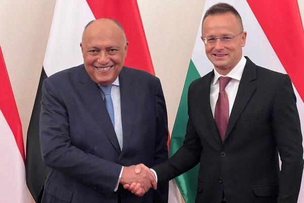 وزير الخارجية يجري مباحثات مع نظيره المجرى ببودابست