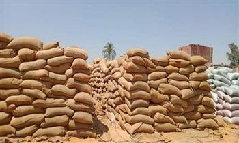 محافظ القليويبة: توريد 86335.960 طن من القمح 