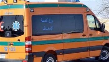مصرع طفل وإصابة والده فى حادث تصادم بشبين القناطر
