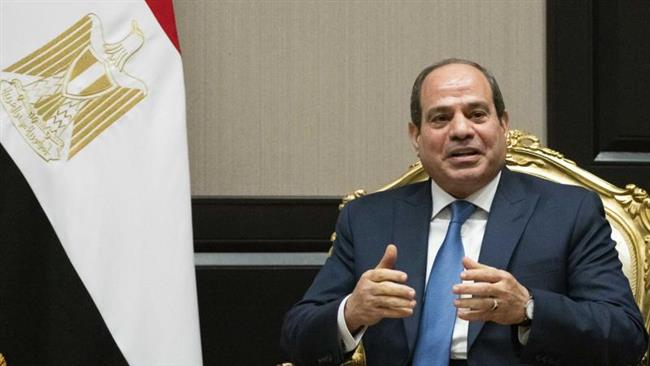 الرئيس السيسي يوقع قانون تنظيم حيازة الحيوانات الخطرة والكلاب