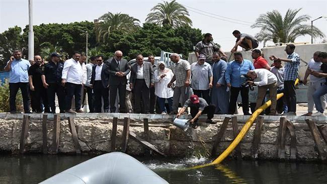 محافظ الأقصر يشهد إلقاء 240 ألف ذريعة سمكية من أسماك البلطي في النيل