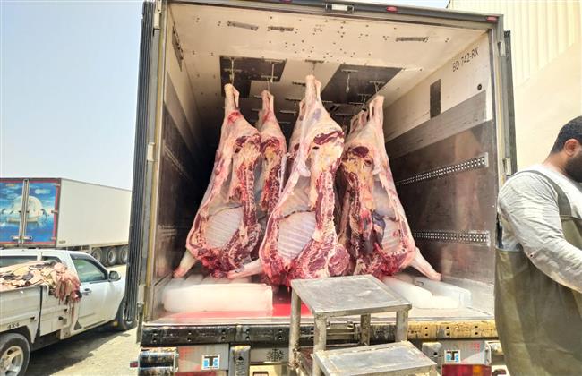 "أوقاف شمال سيناء": بدء بيع صكوك الأضاحى وتوزيعها للأولى بالرعاية