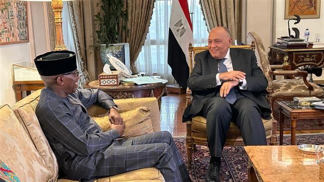 وزير الخارجية يستقبل مفوض الشئون السياسية والسلم والأمن بالاتحاد الأفريقي