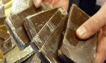 ضبط شخص بالجيزة بحوزته 12 كيلو جراما من الحشيش بغرض الاتجار