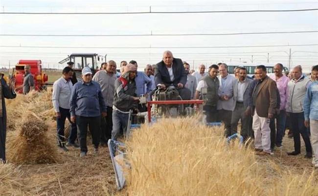 محافظ الوادي الجديد يتفقد برنامجا بحثيا لتقييم أصناف وسلالات متنوعة من القمح بالداخلة