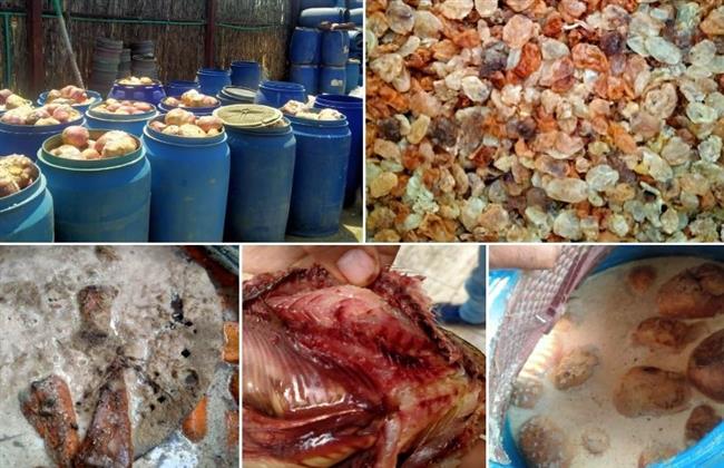 الغربية... "سلامة الغذاء" ترصد 395 مخالفة بعد حملاتها التفتيشية 