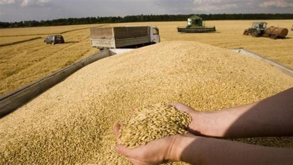 «محافظ سوهاج» يتابع معدلات توريد القمح للشون والصوامع