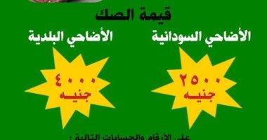 الأوقاف: 2500 جنيه سعر صك الأضحية للحوم السودانية و4 آلاف للبلدى