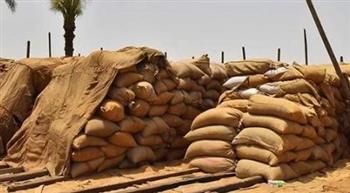   «التموين» حول توريد القمح: موسم مُبشر ونستهدف 4 ملايين طن .. فيديو