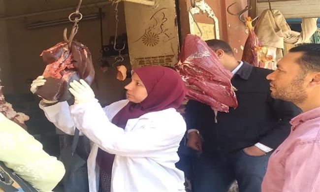 بيطري الغربية يحرر 25 محضرا بحملات تفتيشية بمراكز ومدن المحافظة