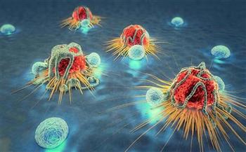   فريق بـ«قومي البحوث» يبتكر مركبات دوائية جديدة من «الكرومين» كمضاد للسرطان