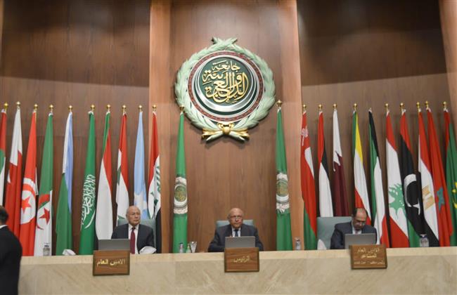 وزير الخارجية يؤكد أهمية تفعيل الدور العربي في سوريا