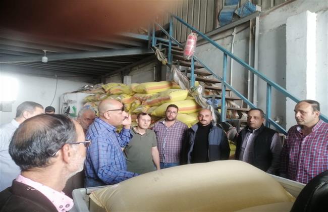ضبط نصف طن من الأقماح المحلية داخل مصنع لتصنيع الاعلاف بطريق برما بمركز طنطا 