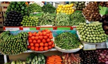   مفاجأة.. زيادة السولار لم تؤثر على أسعار الخضراوات والفاكهة