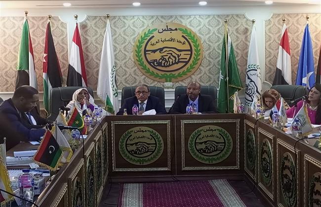 السفير محمدى أحمد النى : الأمانة العامة ترحب بعودة سوريا للجامعة العربية