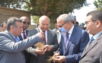 محافظ القليوبية ورئيس جامعة بنها يشهدان موسم حصاد  القمح بكلية الزراعة بمشتهر