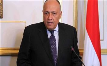   شكري: مصر وجنوب السودان يعملان لتحقيق استقرار المنطقة