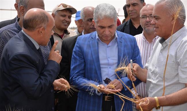 السكرتير العام لمحافظة الإسماعيلية يشهد افتتاح موسم حصاد القمح