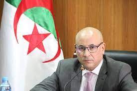 الجزائر تؤكد على ضرورة توجه الاقتصاد الأفريقي نحو الاستثمار المرحلي في تحويل المواد الأولية