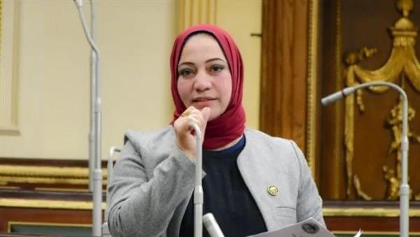 النائبة صفاء جابر : جولة السيسي الإفريقية تعزز أواصر التعاون بين دول القارة