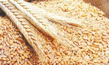 وزير التموين: احتياطي القمح يكفي 5.9 شهر وارتفاع التوريد المحلي إلى 3.44 مليون طن