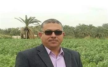 زراعة الوادي الجديد : توريد 451 ألف طن قمح لمواقع التخزين حتى الآن