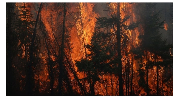 الرئيس الكازاخستاني يتفقد جهود إطفاء حرائق الغابات شرق البلاد