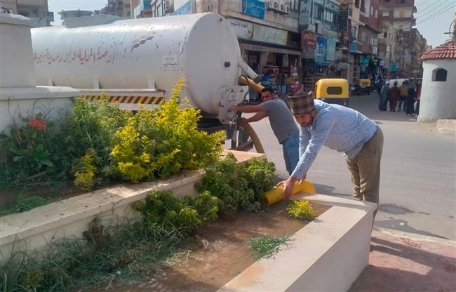 ضمن مبادرة "100مليون شجرة".. زراعة 283 ألف و238 شجرة مثمرة بمدن ومراكز البحيرة