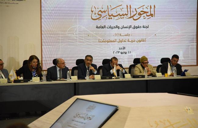 مناقشات "حرية المعلومات" و"تفرغ النواب" تنطلق بالحوار الوطني