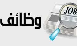 وظائف جديدة بالقليوبية.. التفاصيل
