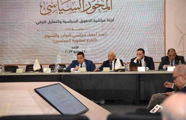 أحمد راغب: تبادل المعلومات حق للمواطنين في معرفة الحقائق من مصادرها الأصلية وليس الصحفيين فقط 