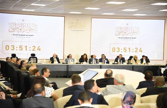 "طلعت عبد القوي" عن تفرغ النواب: سيؤدي لخسارة الخبرات.. والمحليات قبل 2025